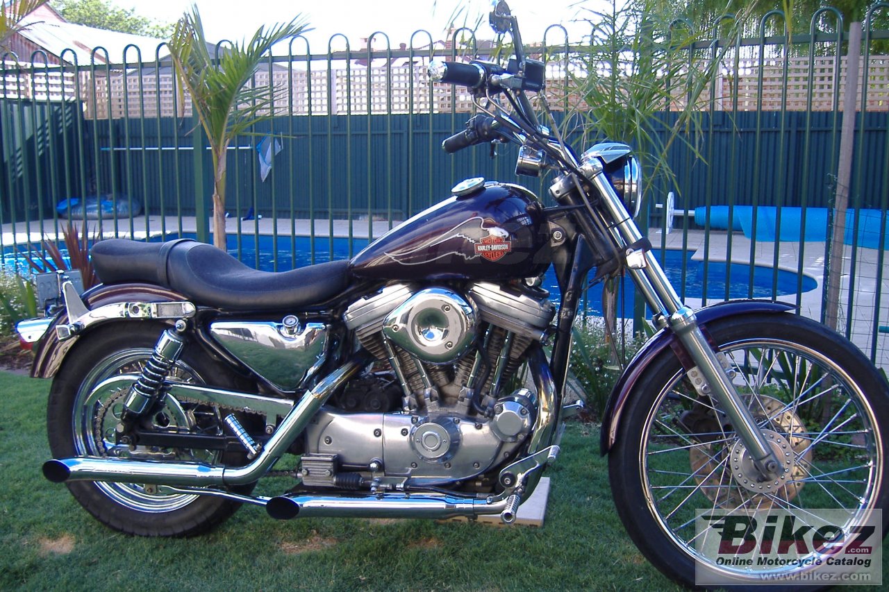 Big de Australia xlh sportster 1200 picture and wallpaper from Bikez.com